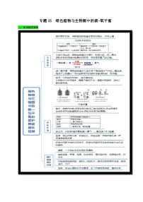 中考生物三轮复习考前冲刺练习专题05 绿色植物与生物圈中的碳-氧平衡（含解析）