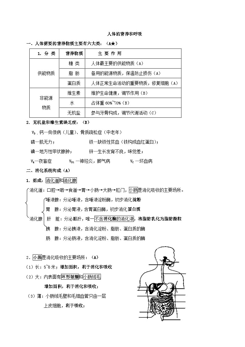 中考生物三轮复习考前冲刺练习专题07 人体的营养和呼吸（含解析）第2页