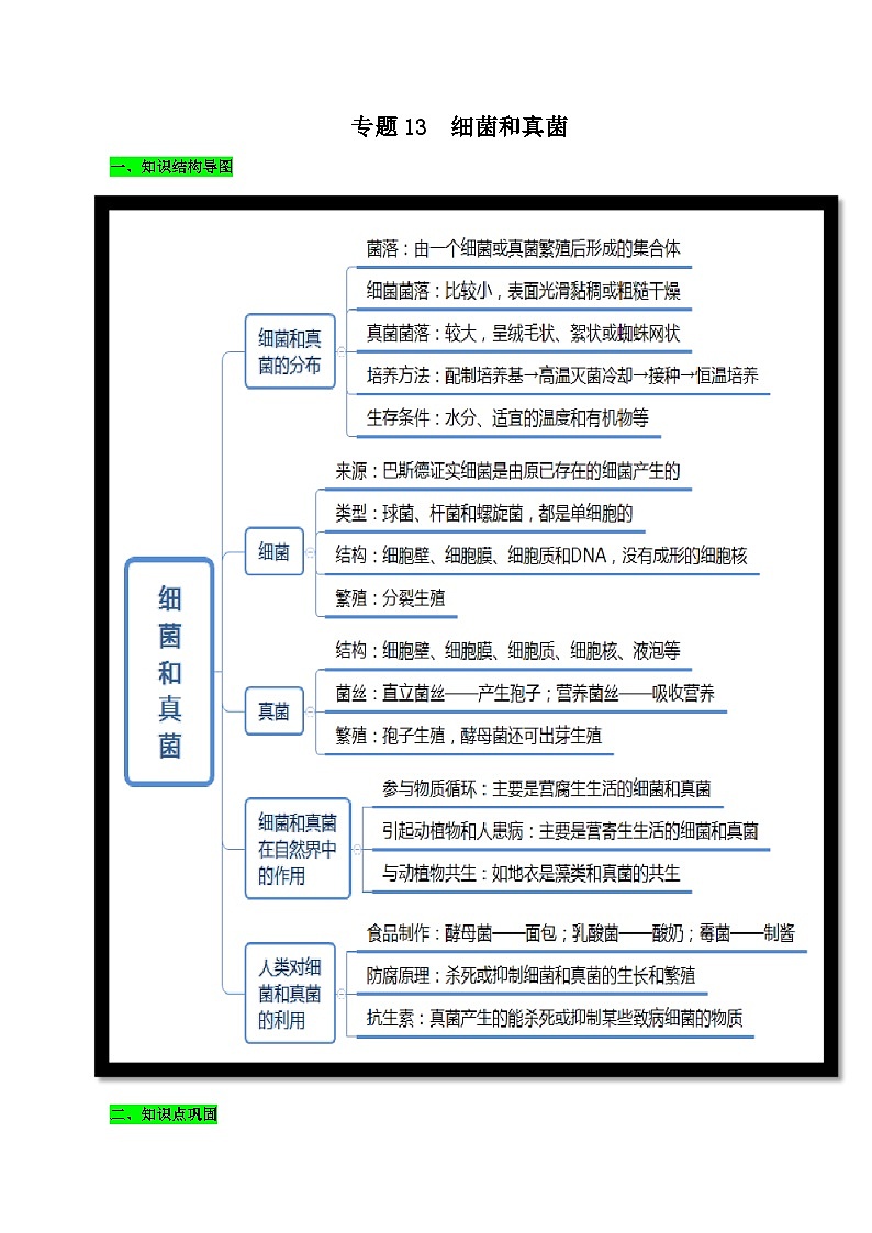 中考生物三轮复习考前冲刺练习专题13 细菌和真菌（含解析）第1页