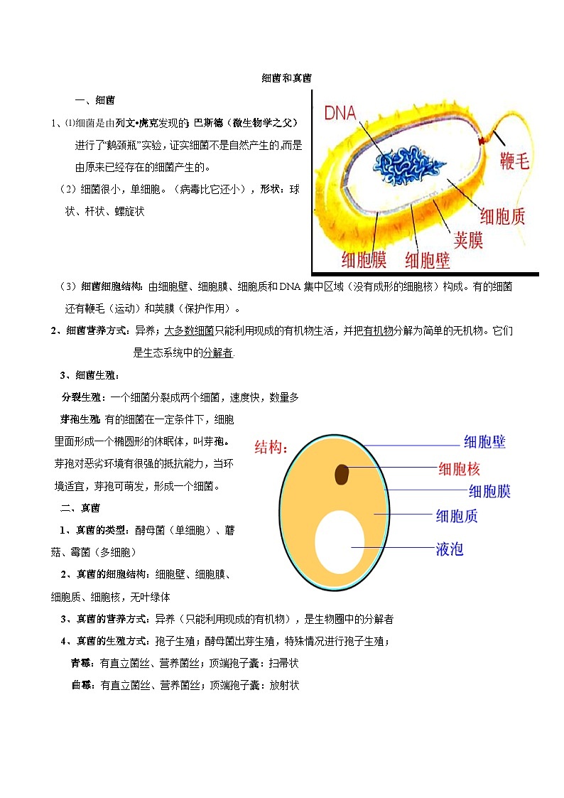 中考生物三轮复习考前冲刺练习专题13 细菌和真菌（含解析）第2页