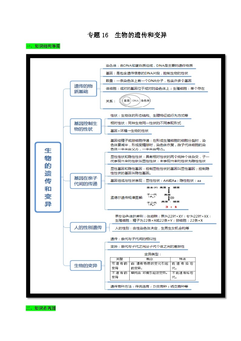 中考生物三轮复习考前冲刺练习专题16 生物的遗传和变异（含解析）01