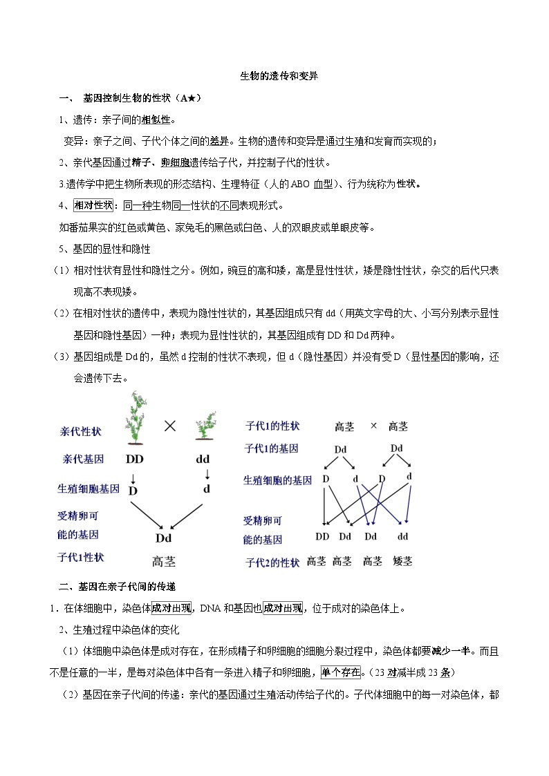 中考生物三轮复习考前冲刺练习专题16 生物的遗传和变异（含解析）02