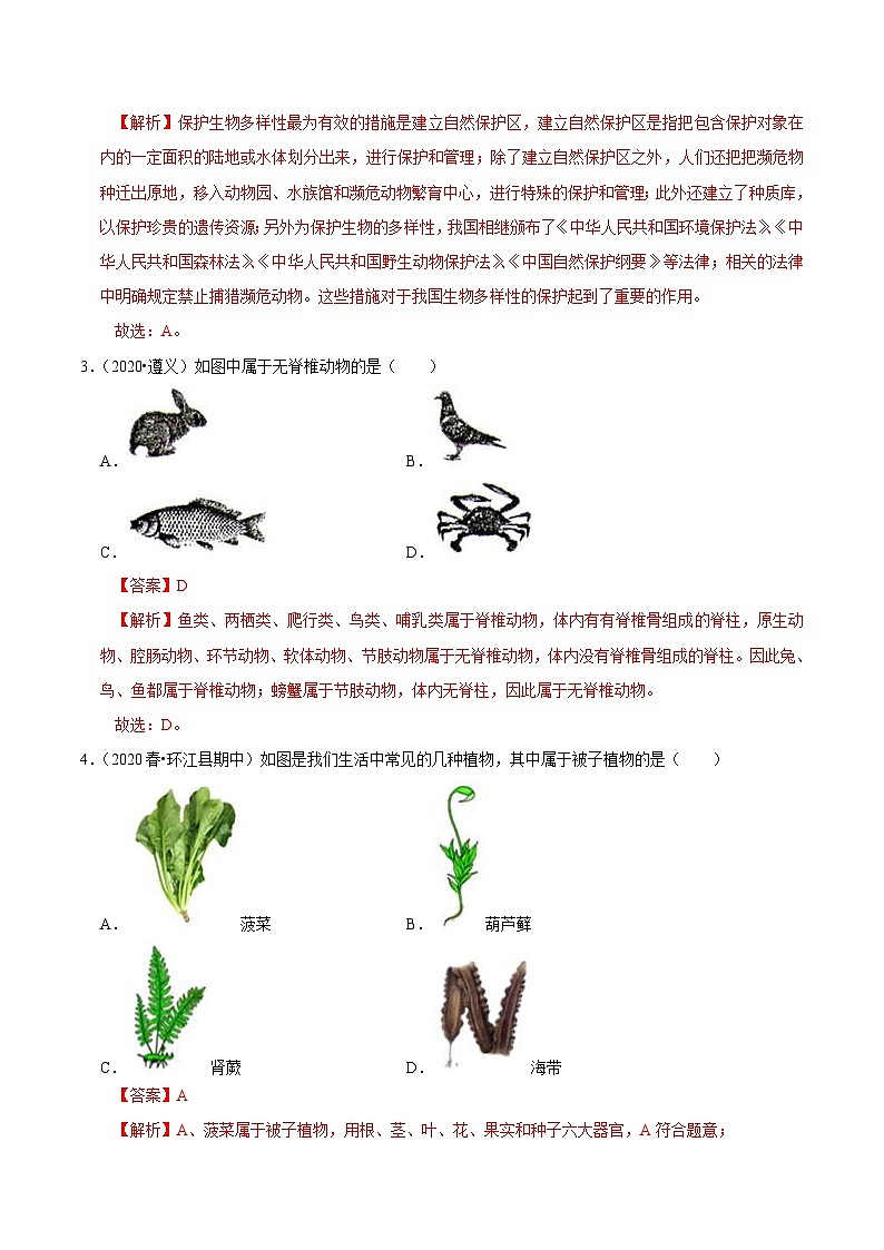 中考生物三轮复习考前冲刺练习专题18 生物的多样性及其保护（含解析）第3页