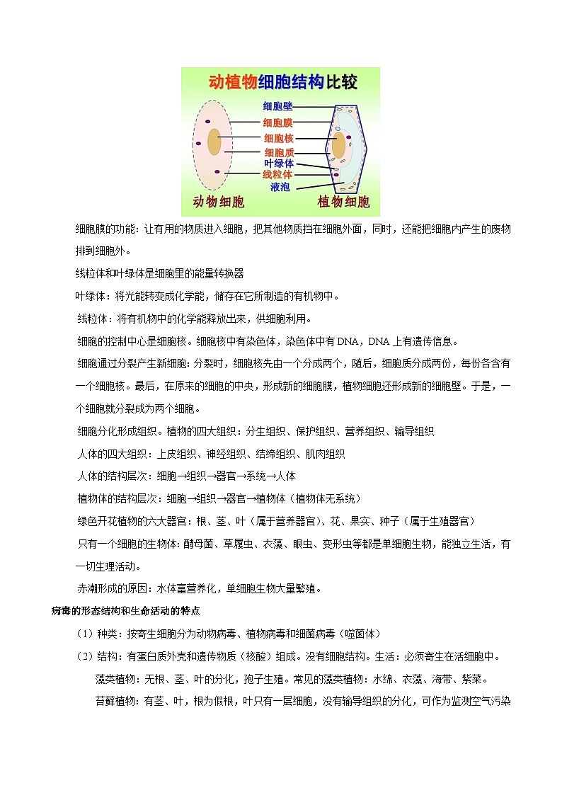 中考生物必背知识合集（全册）第3页