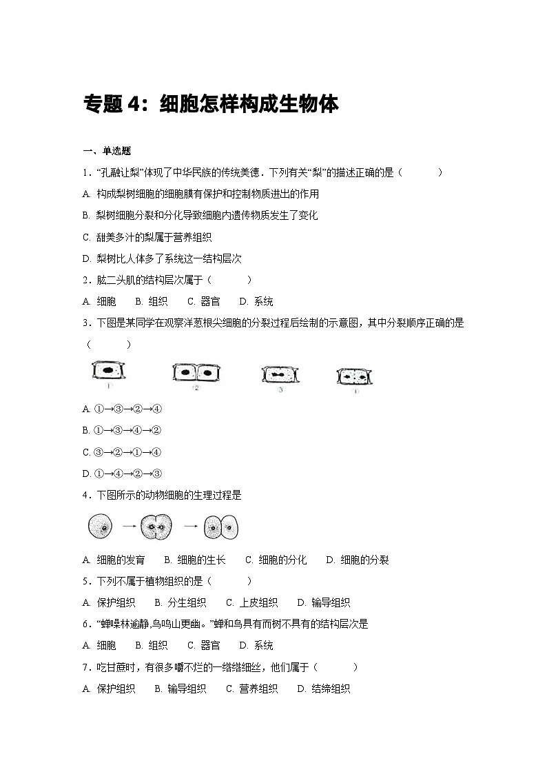 中考生物一轮复习专项训练4：细胞怎样构成生物体（含解析）第1页