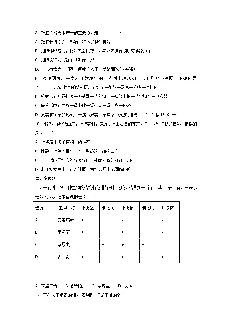中考生物一轮复习专项训练4：细胞怎样构成生物体（含解析）第2页