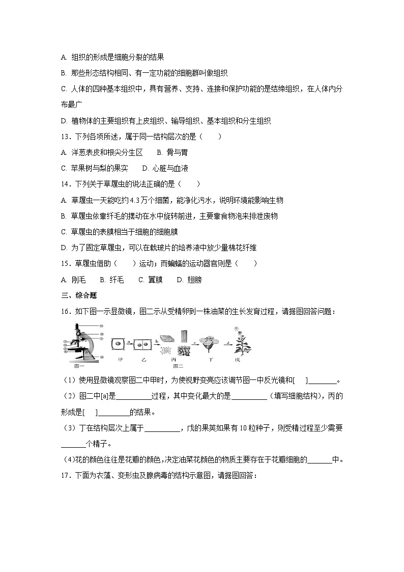中考生物一轮复习专项训练4：细胞怎样构成生物体（含解析）第3页