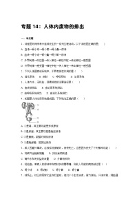 中考生物一轮复习专项训练14：人体内废物的排出（含解析）