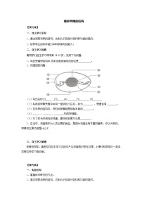 中考生物二轮复习实验突破导学案：观察鸡卵的结构（含答案）