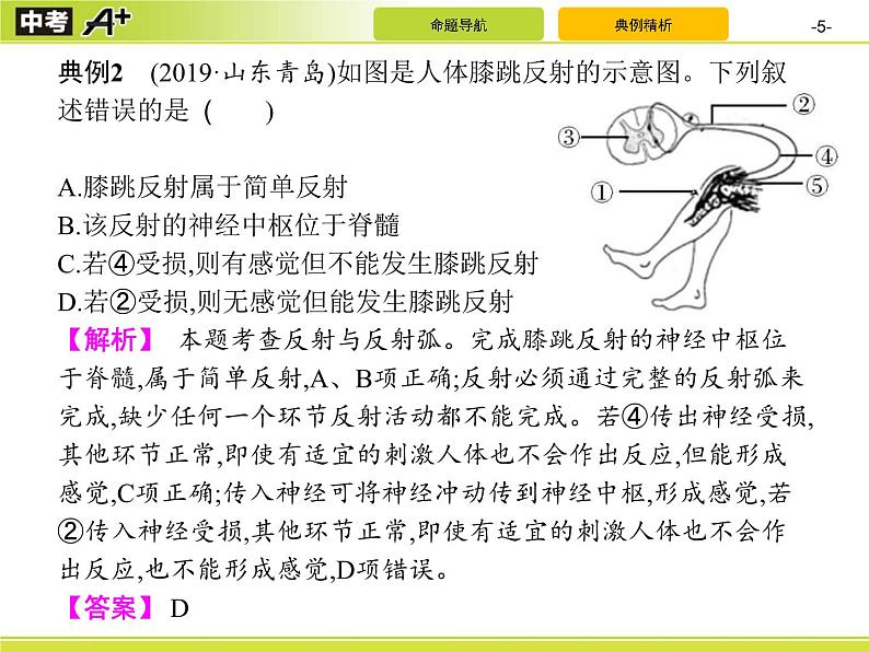 中考生物二轮复习讲义课件专题5　生物圈中的人(二) (含解析)05