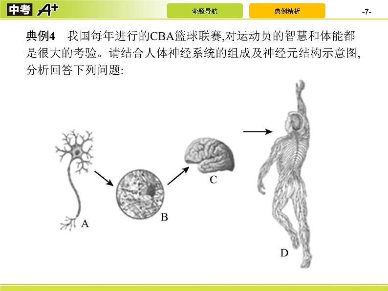 中考生物二轮复习讲义课件专题5　生物圈中的人(二) (含解析)07