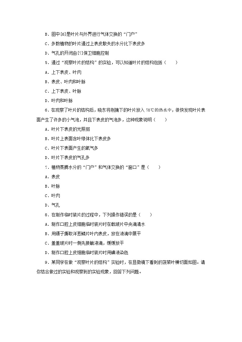 中考生物二轮复习实验突破巩固练习：观察叶片的结构（含解析）第2页
