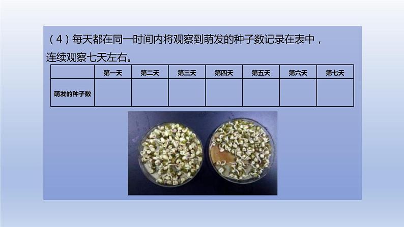 中考生物二轮复习实验突破课件：测定种子的发芽率（含答案）第8页