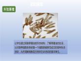中考生物二轮复习实验突破课件：观察草履虫（含答案）