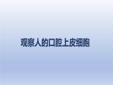 中考生物二轮复习实验突破课件：观察人的口腔上皮细胞（含答案）