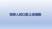 中考生物二轮复习实验突破课件：观察人的口腔上皮细胞（含答案）