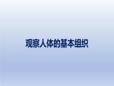 中考生物二轮复习实验突破课件：观察人体的基本组织（含答案）