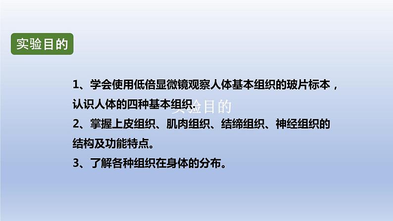 中考生物二轮复习实验突破课件：观察人体的基本组织（含答案）02