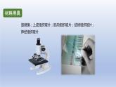 中考生物二轮复习实验突破课件：观察人体的基本组织（含答案）