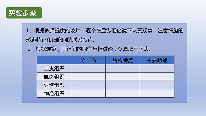 中考生物二轮复习实验突破课件：观察人体的基本组织（含答案）05