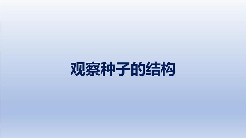 中考生物二轮复习实验突破课件：观察种子的结构（含答案）01