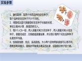 中考生物二轮复习实验突破课件：花生果实大小的变异探究实验（含答案）