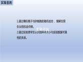 中考生物二轮复习实验突破课件：精子与卵细胞随机结合的模拟实验（含答案）