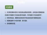 中考生物二轮复习实验突破课件：绿叶在光下制造有机物（含答案）