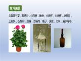 中考生物二轮复习实验突破课件：绿叶在光下制造有机物（含答案）