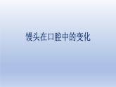 中考生物二轮复习实验突破课件：馒头在口腔中的变化（含答案）
