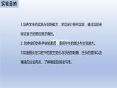 中考生物二轮复习实验突破课件：馒头在口腔中的变化（含答案）