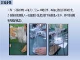 中考生物二轮复习实验突破课件：食物中的营养物质（含答案）