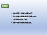 中考生物二轮复习实验突破课件：制作并观察植物细胞临时装片（含答案）