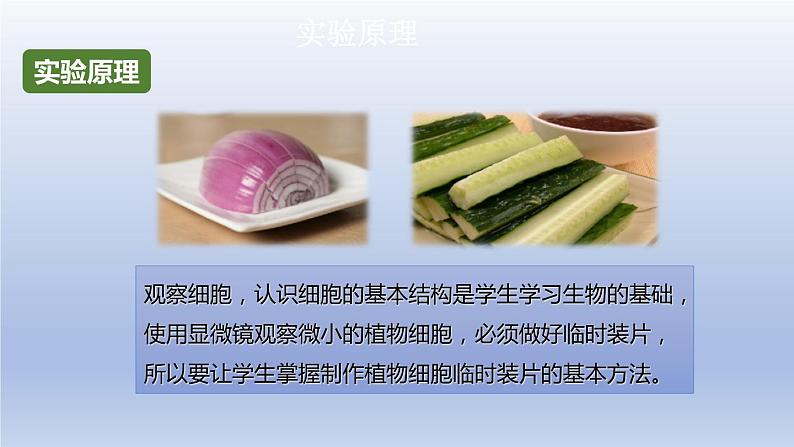 中考生物二轮复习实验突破课件：制作并观察植物细胞临时装片（含答案）03