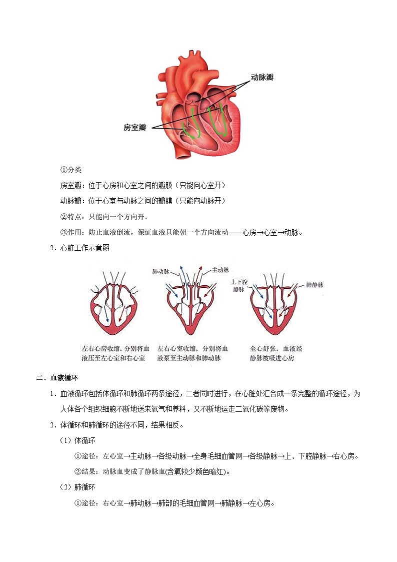 中考生物一轮复习巩固训练考点24 心脏和血液循环（含解析）第2页