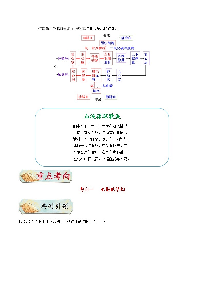 中考生物一轮复习巩固训练考点24 心脏和血液循环（含解析）第3页