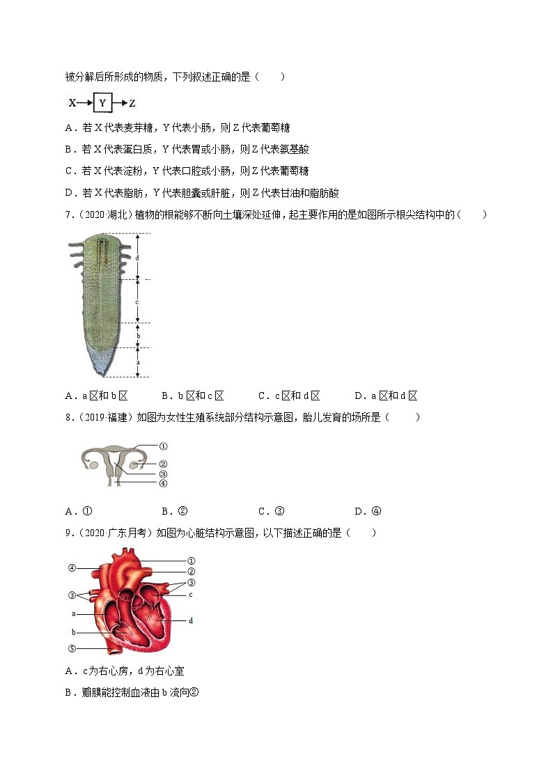 中考生物三轮冲刺题型专练：题型01图像分析题（含解析）03