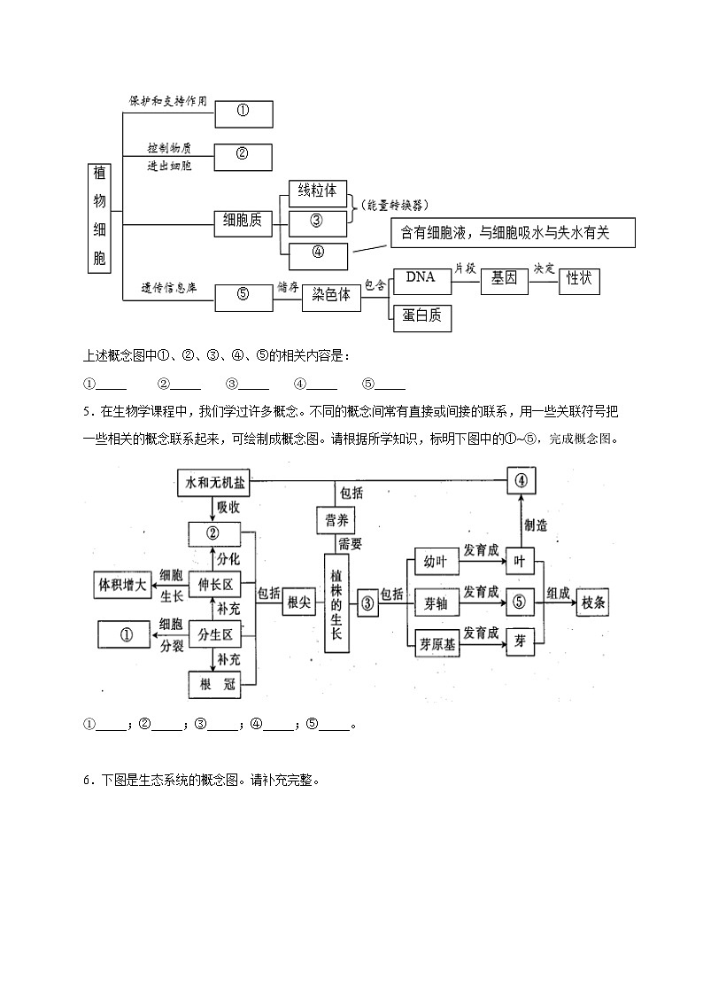 中考生物三轮冲刺题型专练：题型04概念图（含解析）02