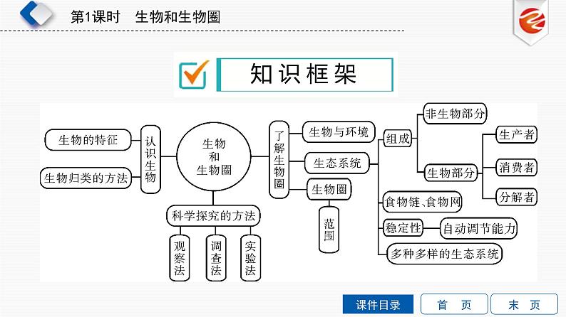 中考生物一轮复习培优课件第1单元　生物和生物圈 (含答案)02