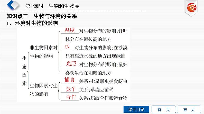 中考生物一轮复习培优课件第1单元　生物和生物圈 (含答案)07