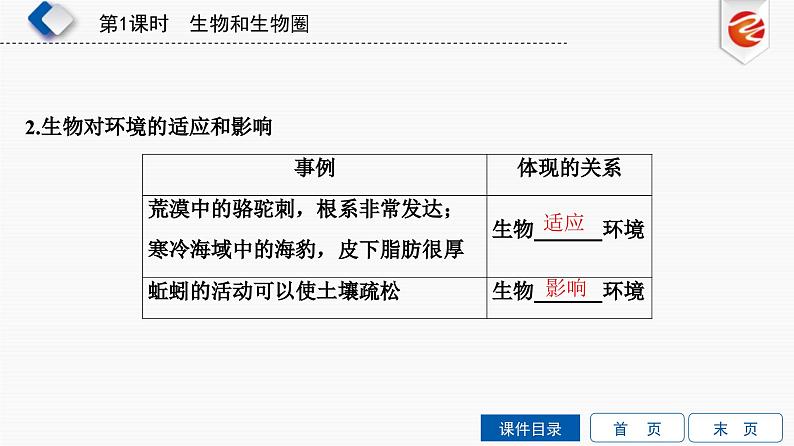 中考生物一轮复习培优课件第1单元　生物和生物圈 (含答案)08