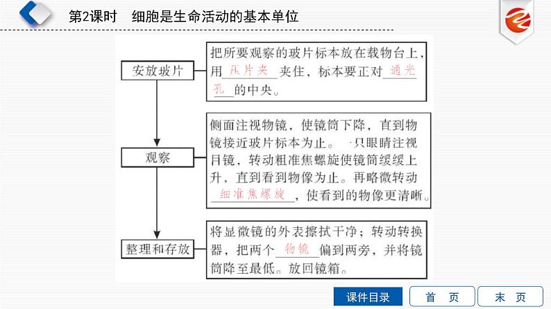 中考生物一轮复习培优课件第2单元　细胞是生命活动的基本单位 (含答案)第6页