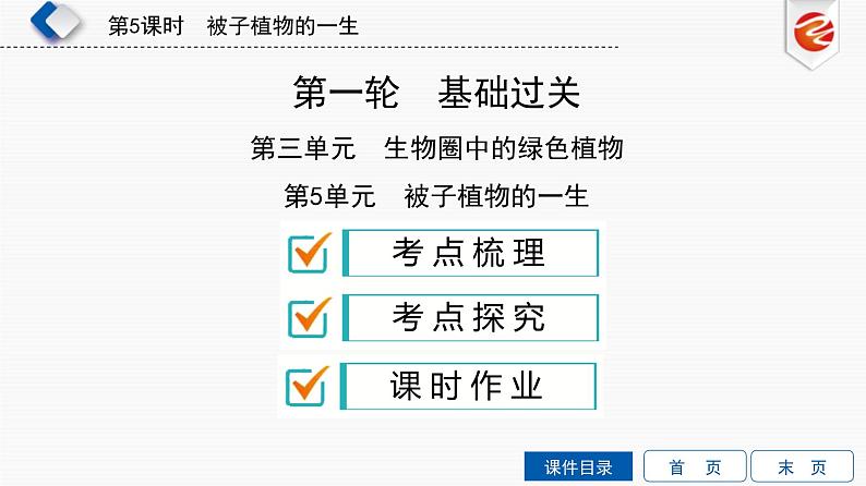 中考生物一轮复习培优课件第5单元　被子植物的一生 (含答案)01