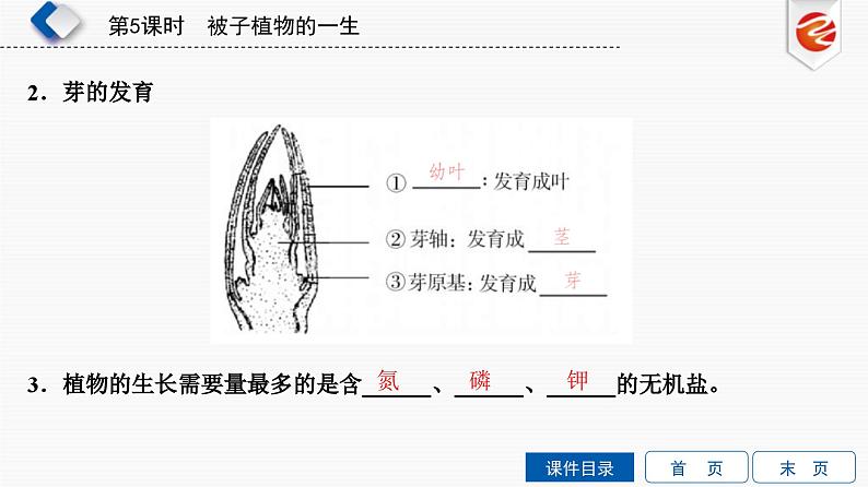 中考生物一轮复习培优课件第5单元　被子植物的一生 (含答案)06