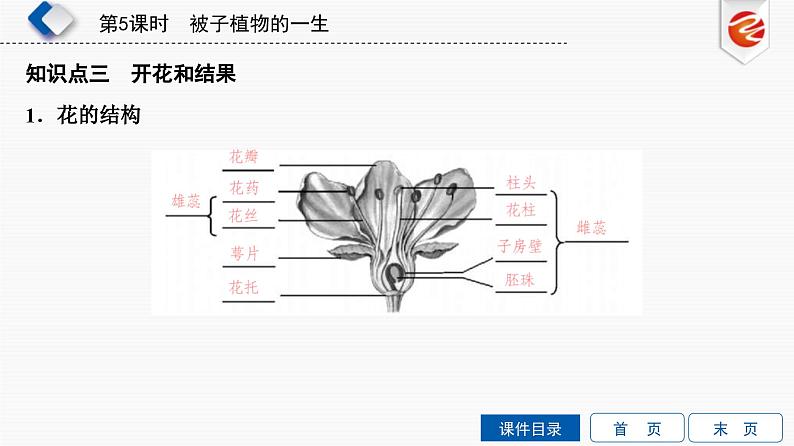 中考生物一轮复习培优课件第5单元　被子植物的一生 (含答案)07