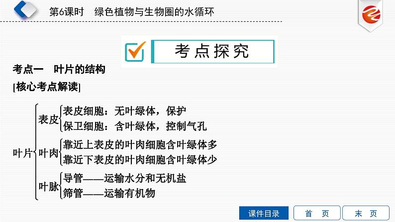 中考生物一轮复习培优课件第6单元　绿色植物与生物圈的水循环 (含答案)06