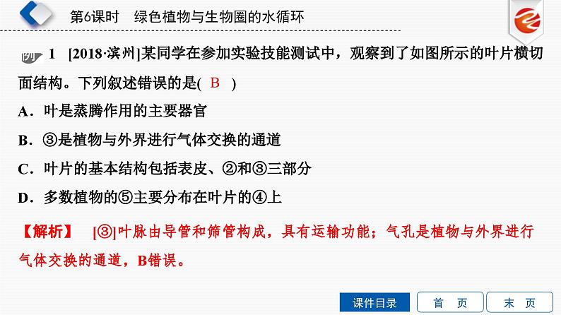 中考生物一轮复习培优课件第6单元　绿色植物与生物圈的水循环 (含答案)08