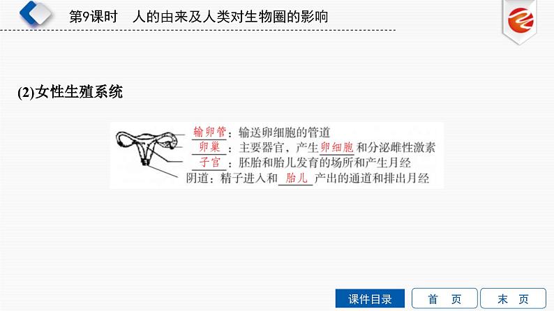 中考生物一轮复习培优课件第9单元　人的由来及人类对生物圈的影响 (含答案)06