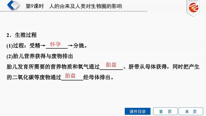 中考生物一轮复习培优课件第9单元　人的由来及人类对生物圈的影响 (含答案)07