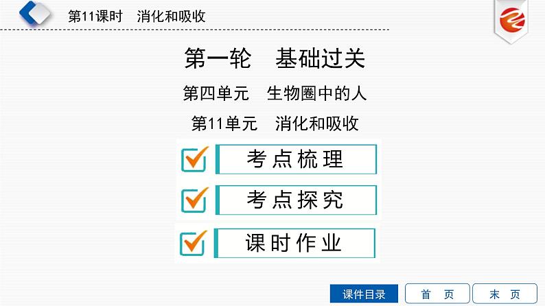 中考生物一轮复习培优课件第11单元　消化和吸收 (含答案)第1页